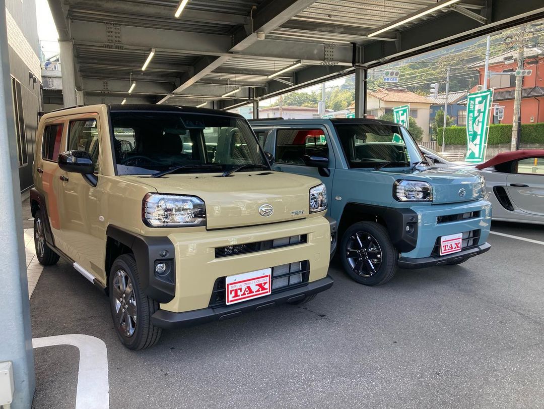 タフト サンドベージュとレイクブルー