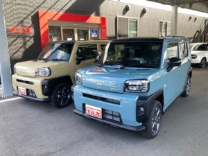 タフト サンドベージュとレイクブルー