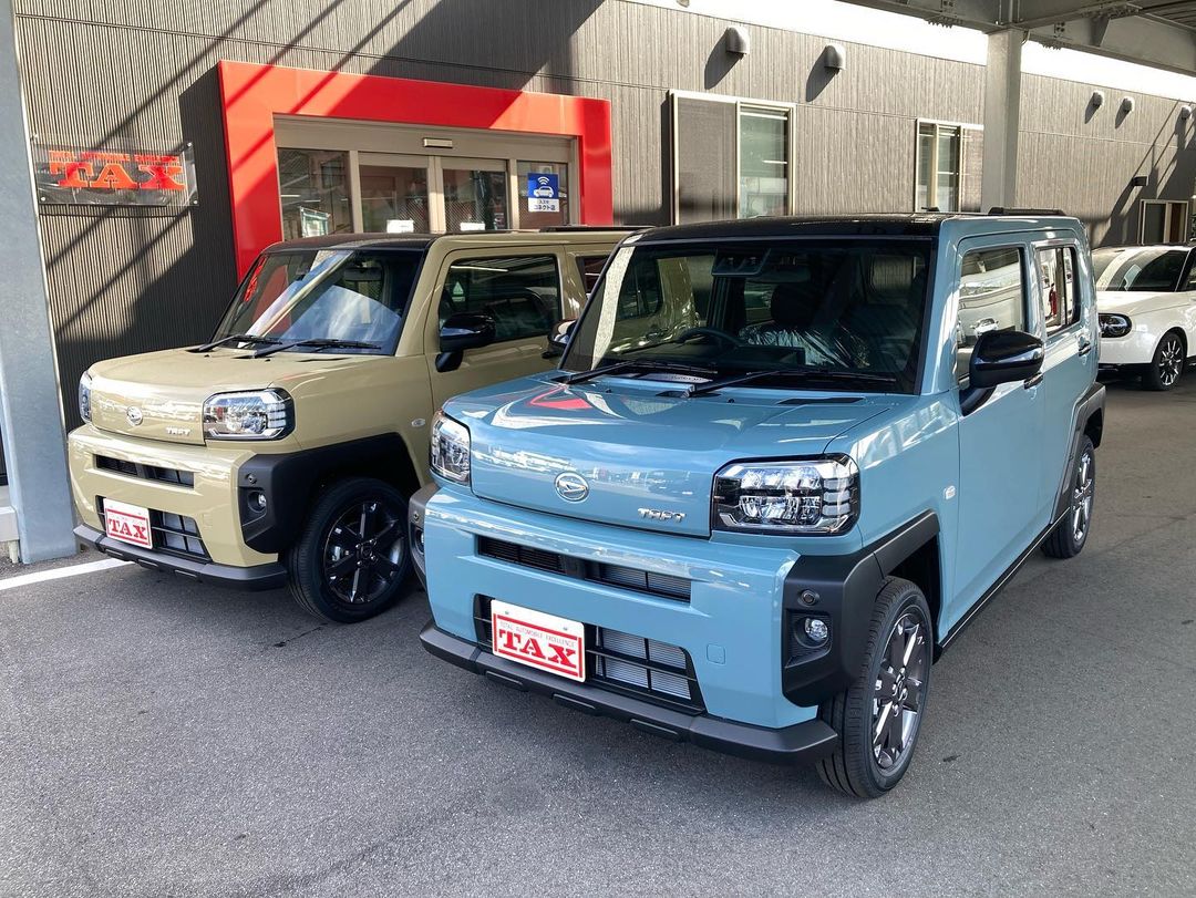 タフト サンドベージュとレイクブルー