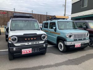 新しくデビューしたカントリーのハスラー♪