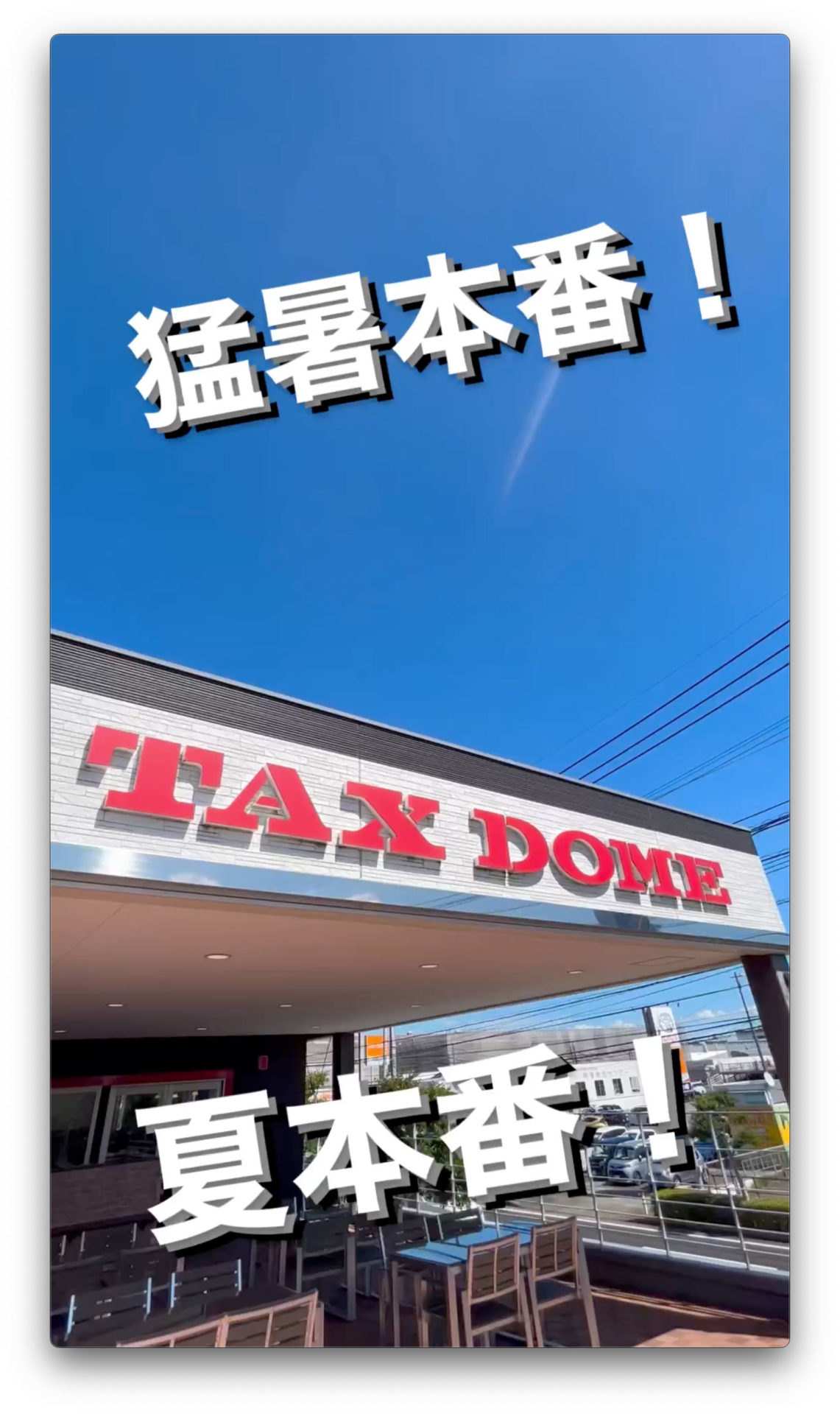 猛暑本番！夏本番！