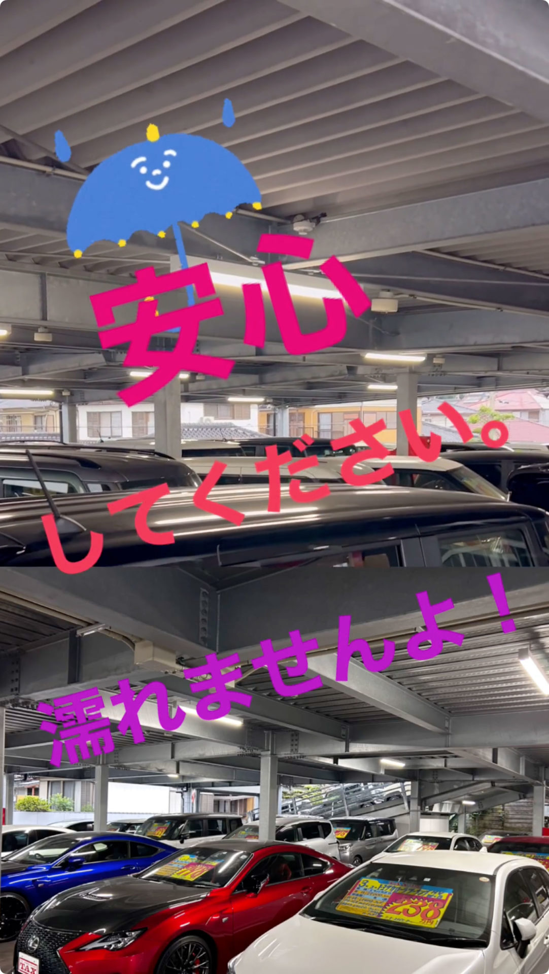 当社ドーム店は屋根があり、雨の日でも真夏でも、ユックリお車を😃見ていただけます😚😄☺️