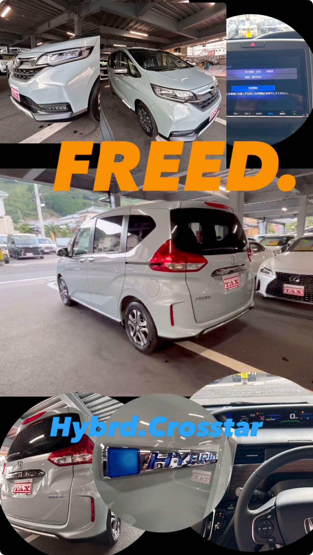 FREEDのご紹介です😀