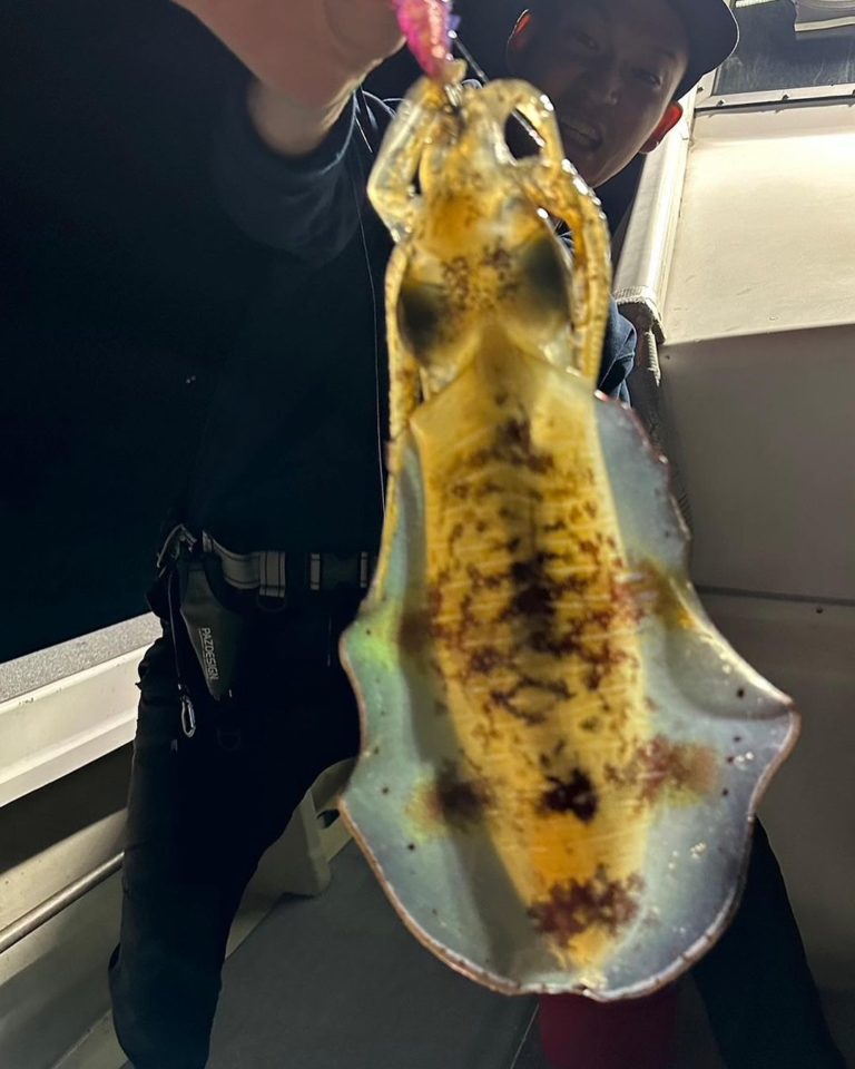 夜焚イカ🦑