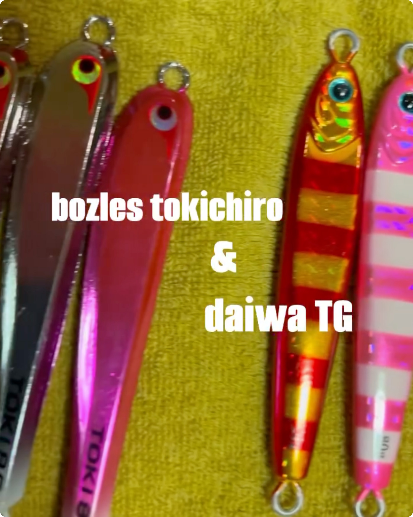 fishing シーズン2024😺