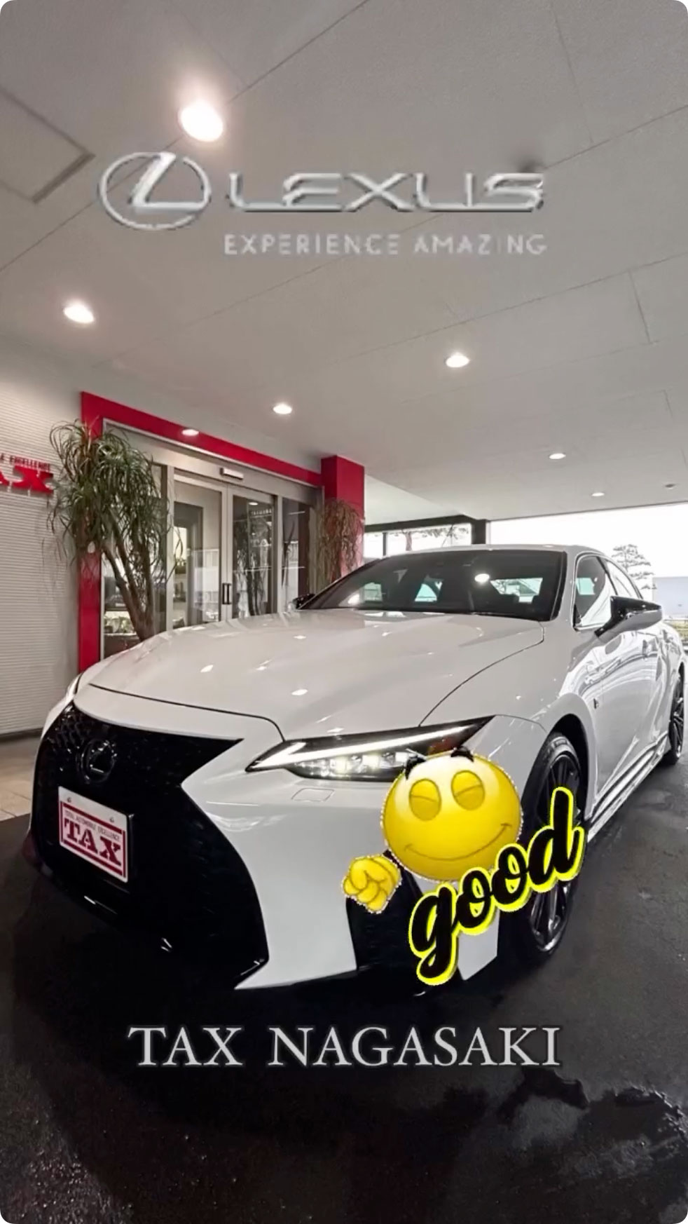 入庫車紹介🎯 レクサスIS 500 Fスポーツ パフォーマンス🎭