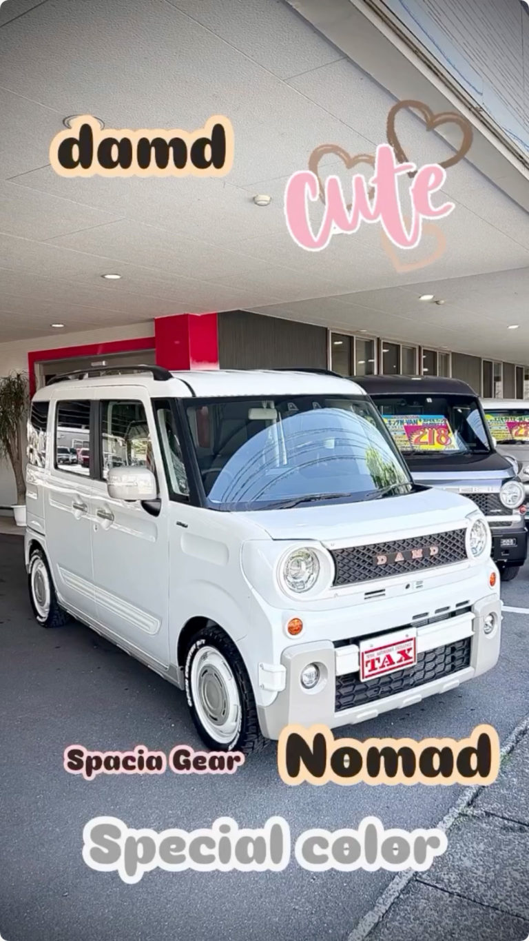 DAMD🍾 NEWカラースペーシアギア NOMAD完成😃